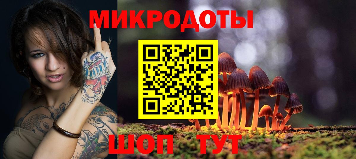 Псилоцибиновые грибы Psilocybe  Вход с VPN  Щёкино 